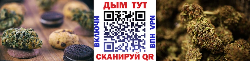 Купить где  Луза  Cannafood конопля 
