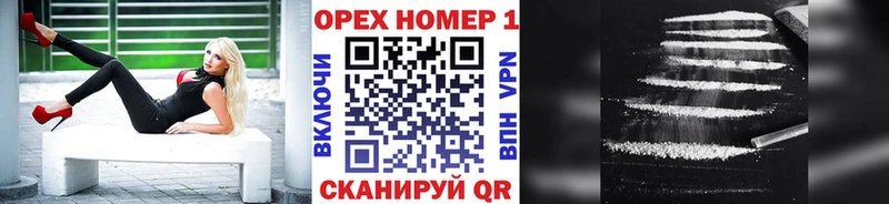 COCAIN Fish Scale  Купить  Луза 