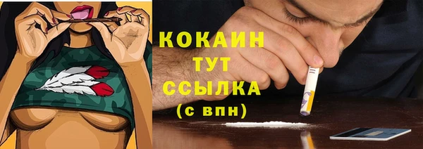 мет Кулебаки